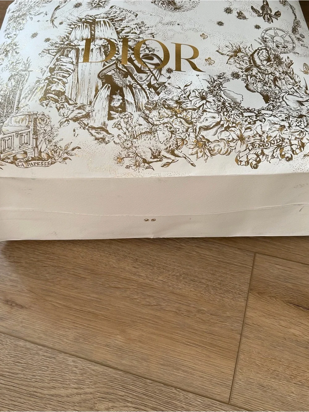 Dior Paper Shopping Bag